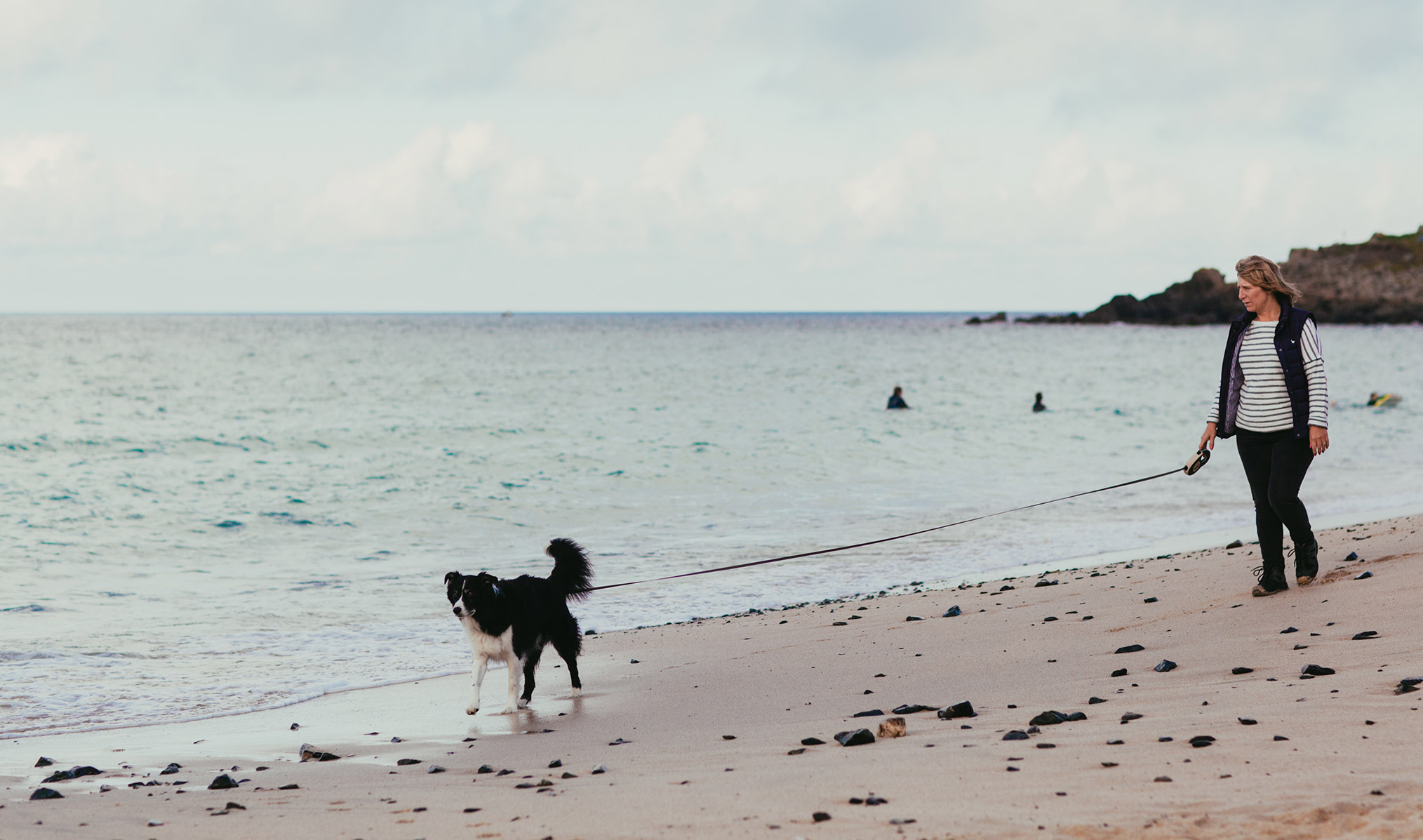 Dogs in St Ives Evening Walks