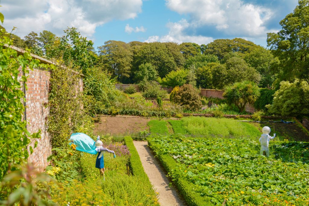 Trengwainton